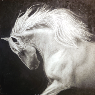 Drawing of a Friesian